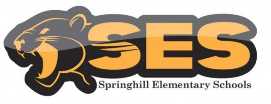 2021 Springhill Elementary schools